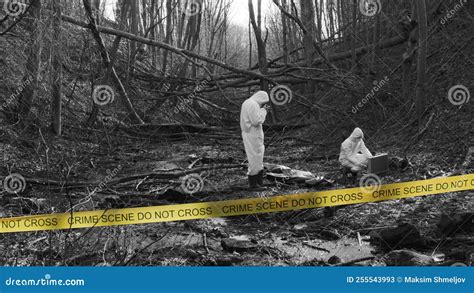 Detectives are Collecting Evidence in a Crime Scene. Forensic ...