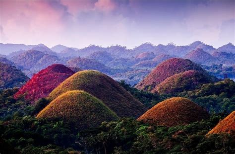 Bohol and its Chocolate Hills (Philippines) - The Golden Scope