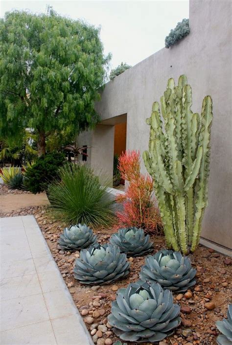 10 Perfect Cactus Garden Design Ideas for Your Garden | Xeriscape front ...