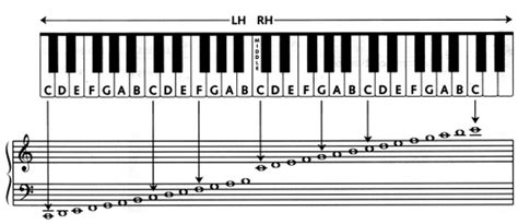 6 Answers - Why are the notes on the bass clef staff different spacing ...