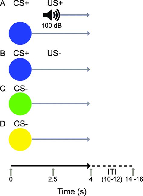 Aversive conditioning procedure. For each participant, one color was ...