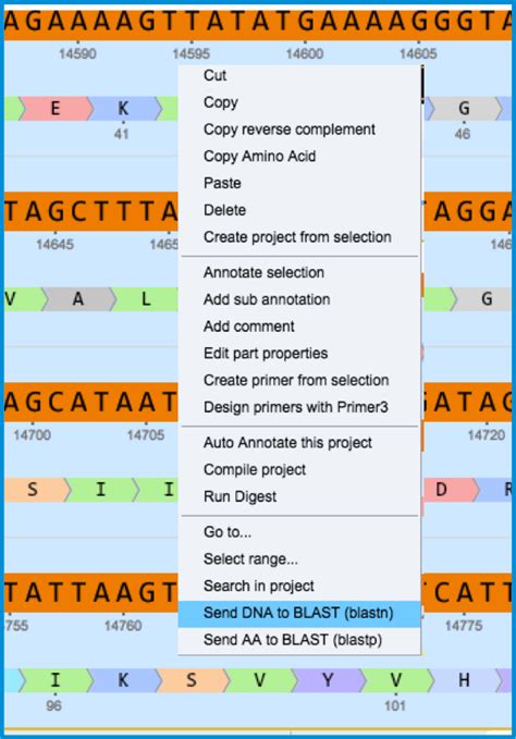 Basic Local Alignment Search Tool (BLAST) | Genome Compiler Manual