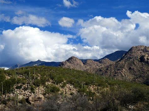 Hiking In Catalina State Park: Tucson, AZ | Raven and Chickadee