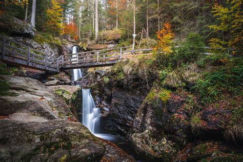 The Bavarian Forest: How to Plan a Trip in Summer or Winter