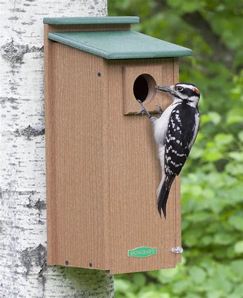 Duncraft.com: Duncraft Three Woodpecker House | Woodpecker, Bird house ...