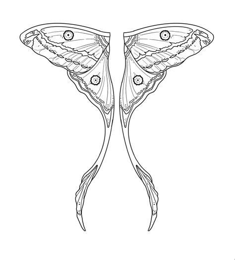 Luna moth wings tattoo stencil | Wings drawing, Fairy tattoo, Moth tattoo