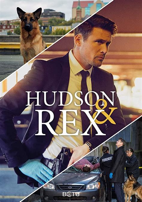 Hudson & Rex Season 2 - watch full episodes streaming online