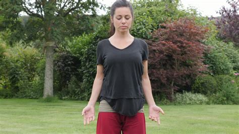 Online Introduction for Qigong Beginners - YouTube