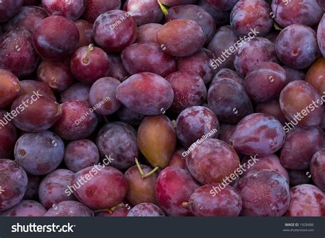 Italian Plums Stock Photo 1928486 : Shutterstock