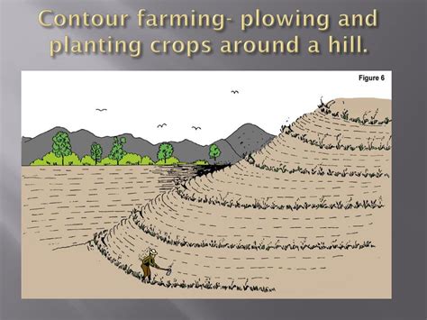 PPT - Farming Techniques to prevent soil erosion. PowerPoint ...