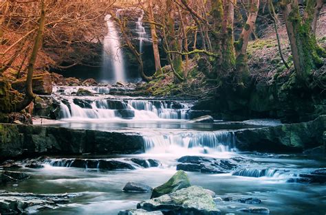 forest, Waterfall, River, Landscape Wallpapers HD / Desktop and Mobile ...