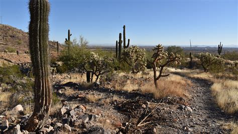 Easy hikes near Phoenix: Casa Grande Mountain Park