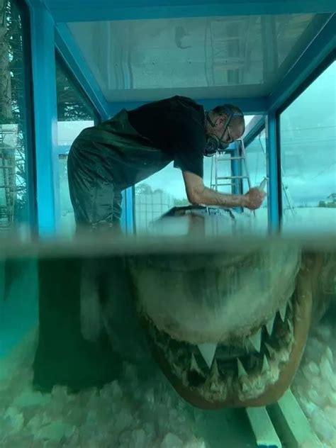 Creepy abandoned zoo has massive Great White Shark remains floating in ...