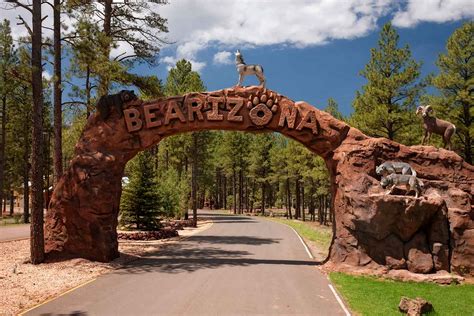 Bearizona Wildlife Park - Arizona Attractions