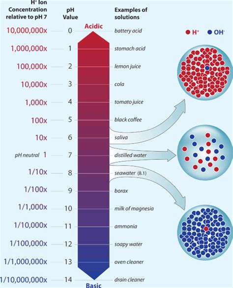 The pH Scale - Woods Hole Oceanographic Institution