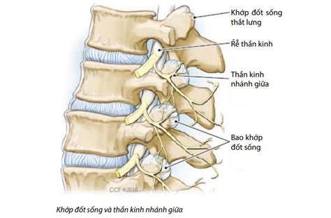 Tiêm Khớp Đốt Sống trong Điều trị đau - Bệnh Viện FV