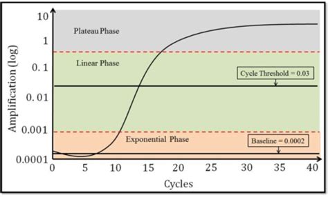 The phases and components of a PCR curves: (1) baseline | Open-i