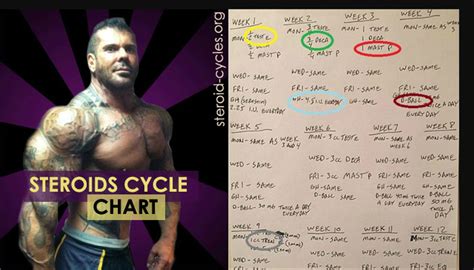 Steroids Cycle Chart: The Quick Guide for Beginners! [2019 Updated ...