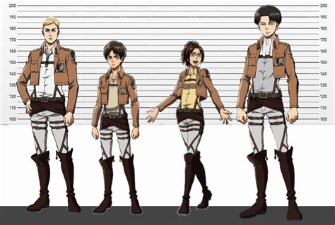 What Is Levi Height?