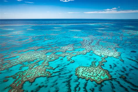 Best Ways to See and Experience the Great Barrier Reef | Fitzroy Island