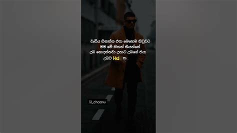 හිතන්න එපා බං😹🤭 Sinhala wadan / quotes / Sara wadan / tiktokvideo # ...