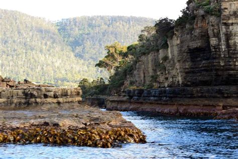 Tasman Island Cruise : One of Our All Time Favourite Travel Experiences ...