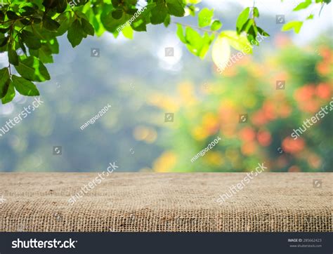 Nature Background Table Wood Product Display Stock Photo 285662423 ...