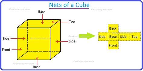 How To Draw The Net Of A Cuboid - Artistrestaurant2