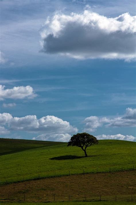 103 | Baixo Alentejo - Portugal. Photo Luís Reininho www.cas… | Flickr