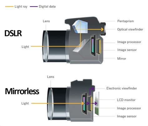 What is a Mirrorless Camera? | PetaPixel