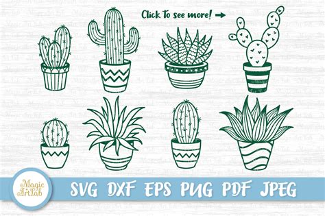 Cactus SVG Mexico Svg SVG Files for Cricut Silhouette Botanical Svg ...