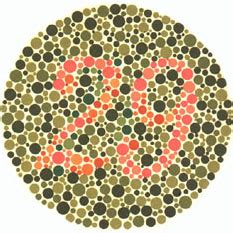 Ishihara’s Test for Colour Deficiency: 38 Plates Edition – Colblindor