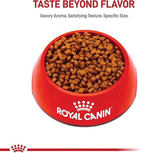 Royal Canin Chihuahua Puppy Dry Dog Food, 2.5-lb bag - Chewy.com