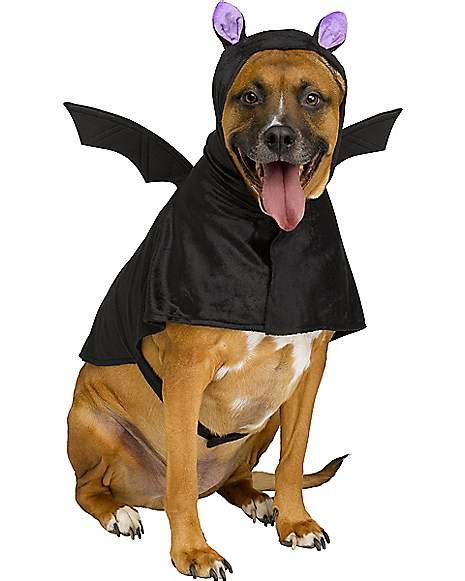 Bat Pet Costume - Spirithalloween.com