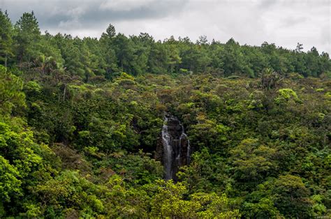 Alexandra falls photo - Mauritius - Photo and travel © Andrey Panevin