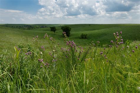 Virtual Tour of the Flint Hills Scenic Byway - Pioneer Bluffs