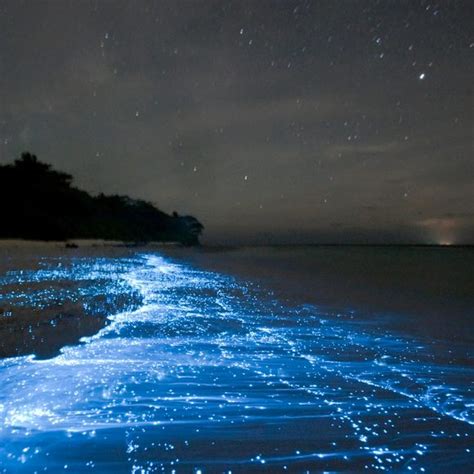 Sea of Stars – Vaadhoo, Maldives - Atlas Obscura