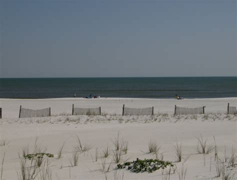 Mobile, AL : beach photo, picture, image (Alabama) at city-data.com