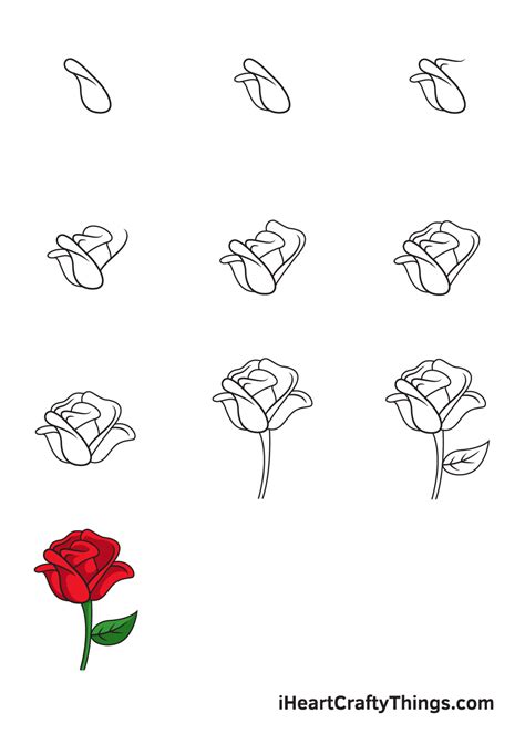 Rose Drawing Step By Step