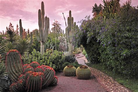 Morocco-Anima-Garden » Travelguide Marrakech