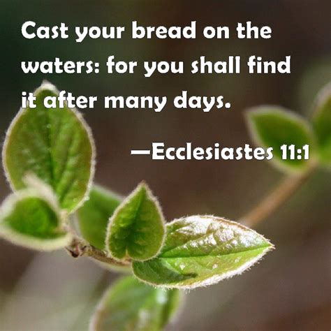 Ecclesiastes 11:1 Cast your bread on the waters: for you shall find it ...