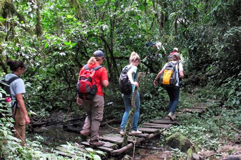 ADVENTURE TO KAKAMEGA FOREST – Flexible Tours Africa