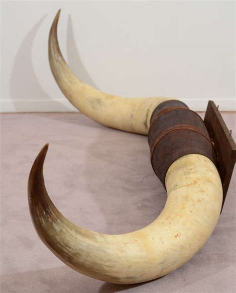 Pair of Vintage Ox Horns with Tooled Leather Mounting at 1stDibs | ox ...