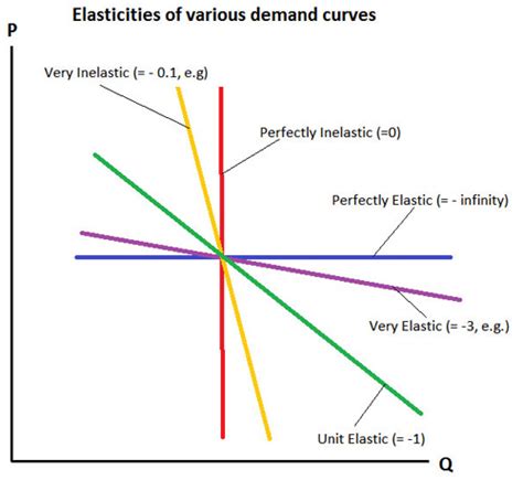 Elasticities and Demand Curve Shapes | E B F 200: Introduction to ...