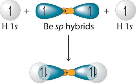 10.7: Valence Bond Theory- Hybridization of Atomic Orbitals - Chemistry ...