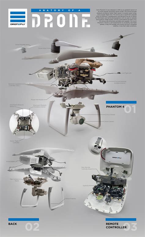 The Interior Life of a Drone Explained via Infographic | The Drive ...