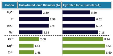 Diameters (A ̊ ) of monovalent and divalent cations (both unhydrated ...