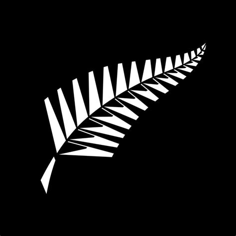 New Zealand national cricket team - Wikipedia | Cricket logo, New ...