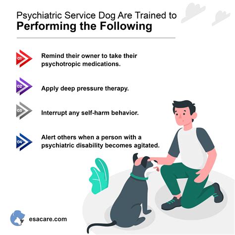 Things to Know About Psychiatric Service Dog in Colorado - ESA Care