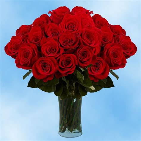 Fresh Cut Rose Flower at Rs 10/piece | कट फ्लावर्स - Nandini Milk ...